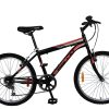 BACCIO ALPINA MAN 24 - Imagen 2